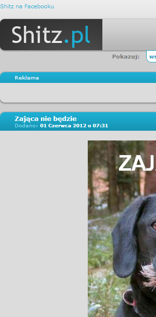 Shitz.pl